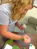 IMG_1272.JPG